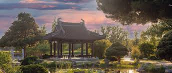 BB贝博艾弗森官网 拓展园林绿化工程