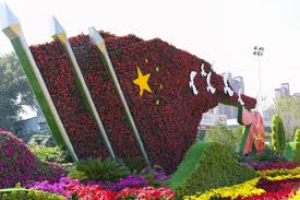 大港全国最大绿化树苗批发市场在哪里